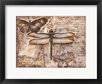 Poetic Dragonfly II Framed Print