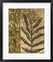 Plant Exotica I Framed Print