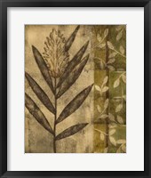 Plant Exotica II Framed Print