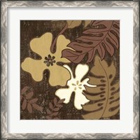 Framed Calypso Floral II