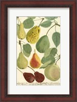 Framed Plentiful Pears I