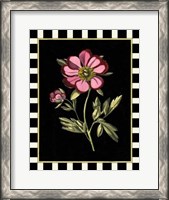 Framed Pink Peony II