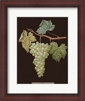Framed White Grapes