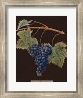 Framed Purple Grapes