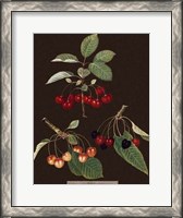 Framed Cherries