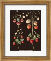 Framed Strawberries