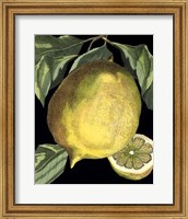 Framed Fragrant Citrus I