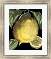 Framed Fragrant Citrus I