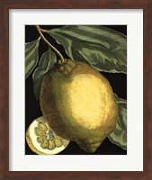 Framed Fragrant Citrus II