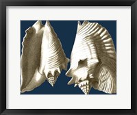 Conch Shells on Navy I Framed Print