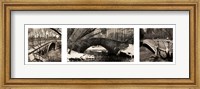 Framed Central Park Bridges