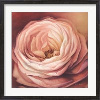 Framed Rose Portrait