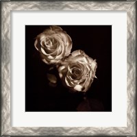 Framed Circus Roses