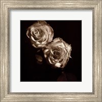 Framed Circus Roses
