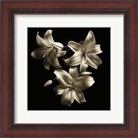 Framed Three Lilies