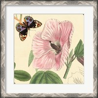 Framed Hibiscus