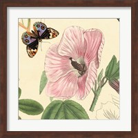 Framed Hibiscus