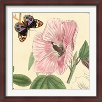 Framed Hibiscus