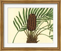 Framed Palmetto III