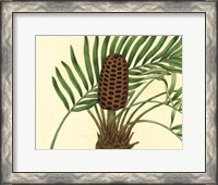 Framed Palmetto III