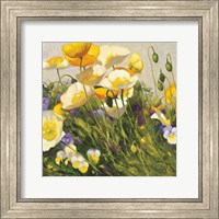 Framed Poppies and Pansies I