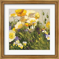 Framed Poppies and Pansies I