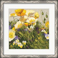 Framed Poppies and Pansies I