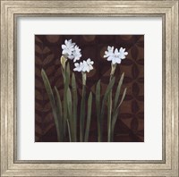 Framed Narcissus on Brown I