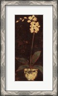 Framed Gilded Orchid II