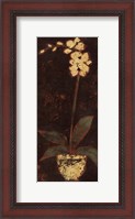 Framed Gilded Orchid II