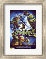 Framed Teenage Mutant Ninja Turtles DVD