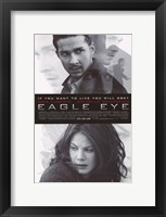 Framed Eagle Eye