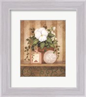 Framed Pansy and Shell