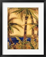 Framed Bahama Splendor I