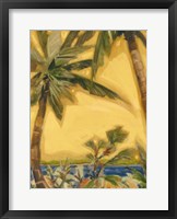 Bahama Splendor II Framed Print