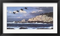 Framed Shorebirds at Point Lobos