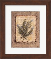 Framed Vintage Herbs - Rosemary