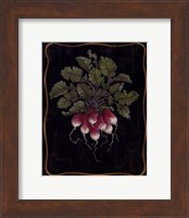 Framed Bouquet Of Radishes l