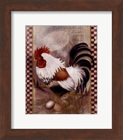 Framed Coat Of Many Colors Rooster