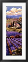 Framed Fields Of Lavender I