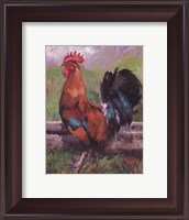 Framed Red And Turquoise Rooster
