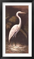 Framed Brown Egret
