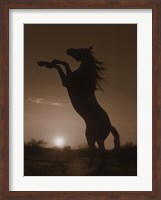 Framed Rearing Horse Silhouette
