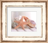 Framed Cali Starfish II