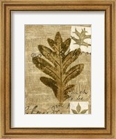 Framed Leaf Collage I