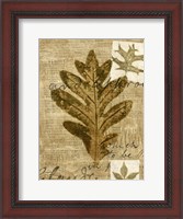 Framed Leaf Collage I