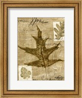 Framed Leaf Collage II