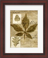 Framed Leaf Collage III