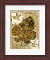 Framed Leaf Collage IV