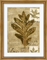 Framed Leaf Collage I